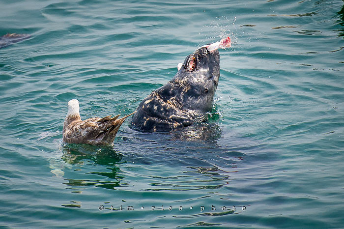 Yr6•292-365•2106•Do You Mind?