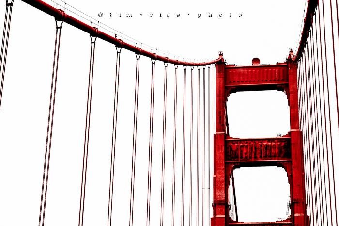 Yr6•293-365•2098•As the Lights Come and Go