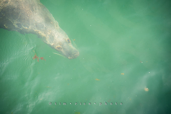 Yr6•293-365•2106•Do You Mind?