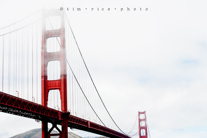 Yr6•294-365•2098•As the Lights Come and Go