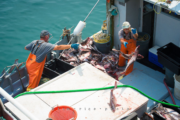 Yr6•294-365•2106•Do You Mind?