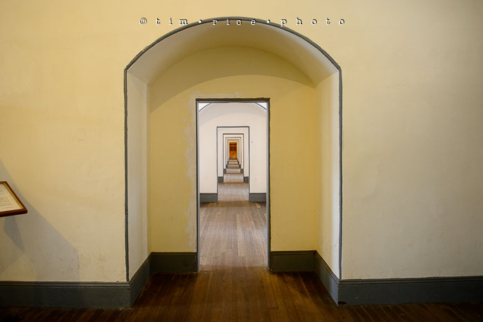 Yr6•295-365•2098•As the Lights Come and Go