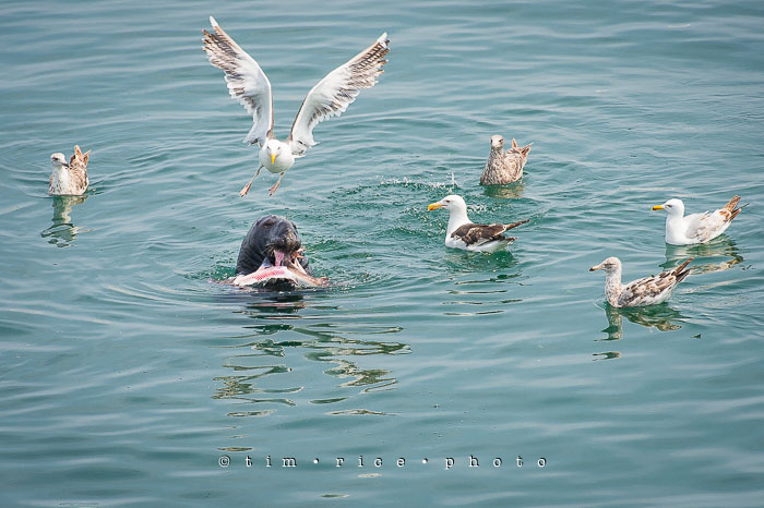 Yr6•295-365•2106•Do You Mind?