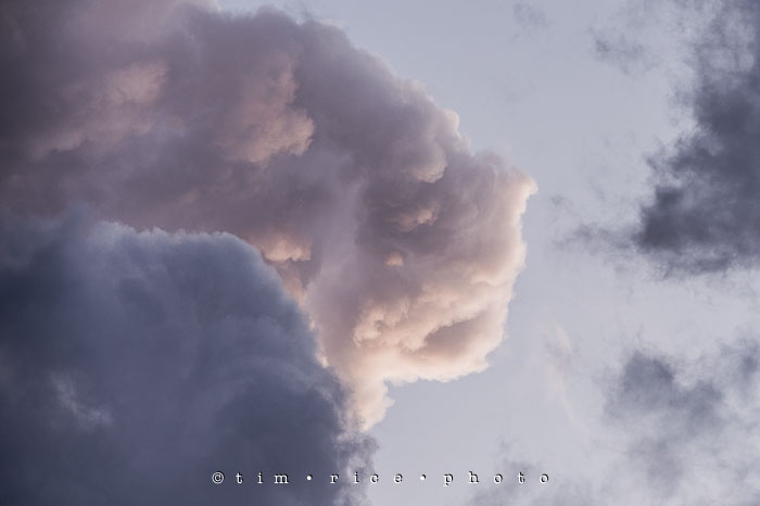 Yr6•297/365•2123 Sky Lion July 24, 2015