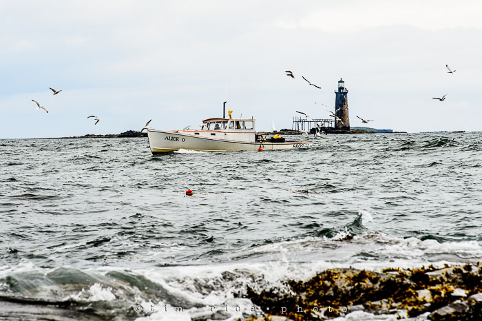 Yr6•300-365•2125•Wood Island Light