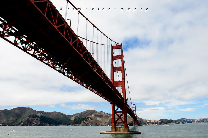 Yr6•301-365•2098•As the Lights Come and Go