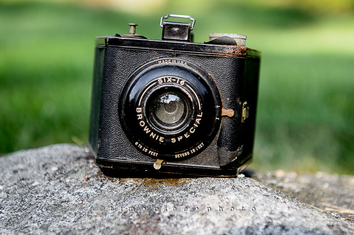 Yr6•301-365•2127•The Brownie Special Six-16