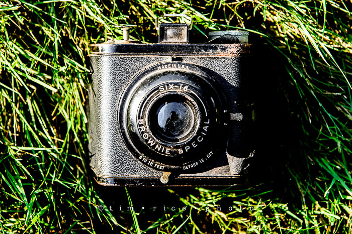 Yr6•302-365•2127•The Brownie Special Six-16