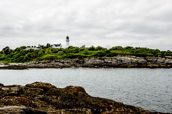 Yr6•303-365•2125•Wood Island Light