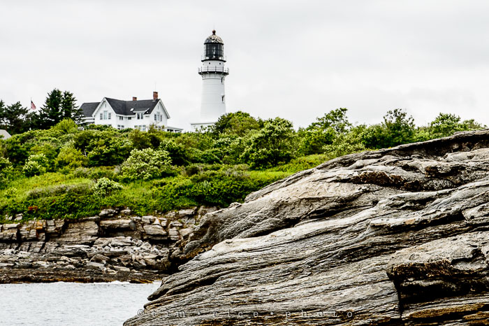 Yr6•304-365•2125•Wood Island Light