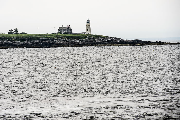 Yr6•308-365•2125•Wood Island Light