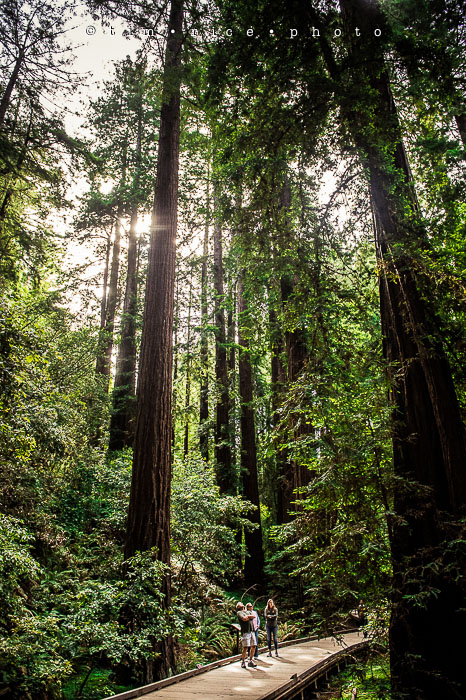 Yr6•309-365•2098•As the Lights Come and Go