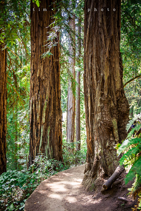 Yr6•314-365•2098•As the Lights Come and Go