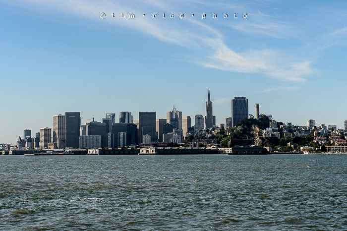 Yr6•315-365•2098•As the Lights Come and Go