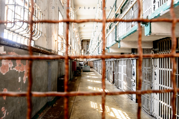 Yr6•319-365•2098•As the Lights Come and Go