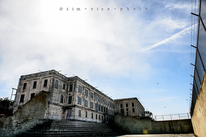 Yr6•320-365•2098•As the Lights Come and Go