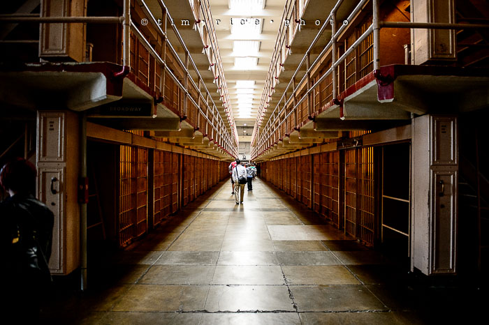 Yr6•323-365•2098•As the Lights Come and Go