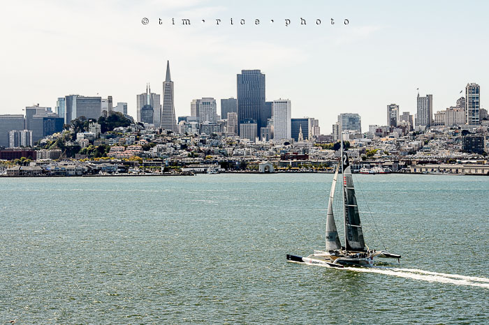 Yr6•324-365•2098•As the Lights Come and Go