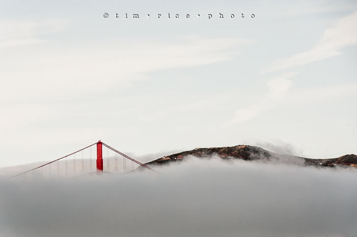 Yr6•326-365•2098•As the Lights Come and Go