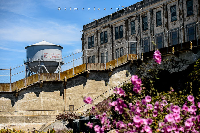 Yr6•330-365•2098•As the Lights Come and Go