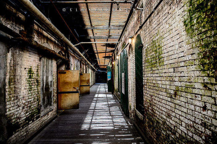 Yr6•331-365•2098•As the Lights Come and Go