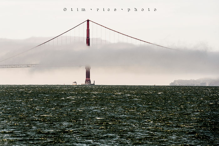 Yr6•333-365•2098•As the Lights Come and Go