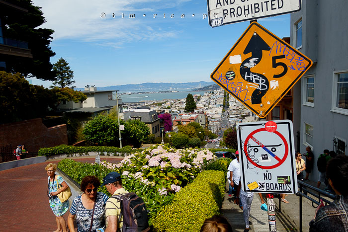 Yr6•334-365•2098•As the Lights Come and Go