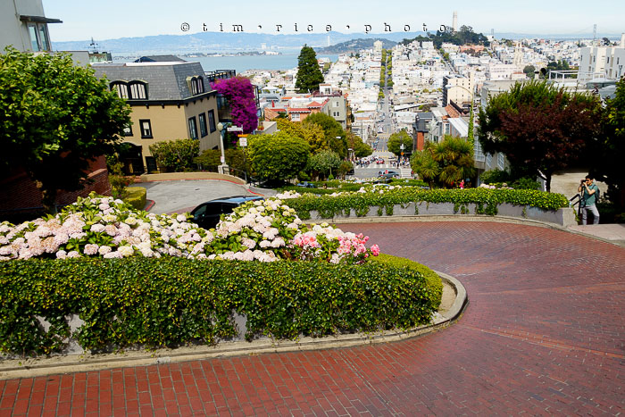 Yr6•336-365•2098•As the Lights Come and Go