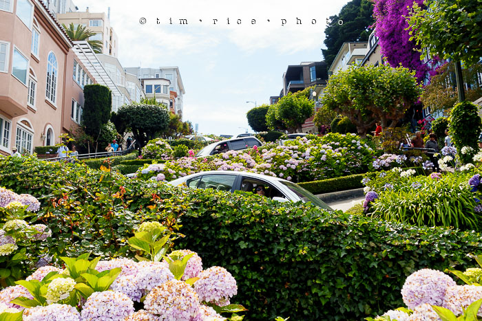 Yr6•337-365•2098•As the Lights Come and Go