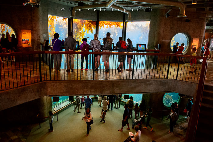 Yr6•339-365•2098•As the Lights Come and Go