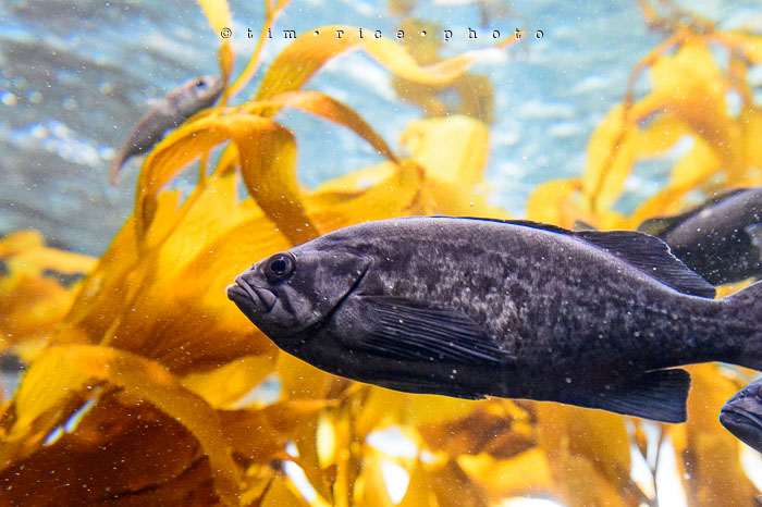 Yr6•340-365•2098•As the Lights Come and Go