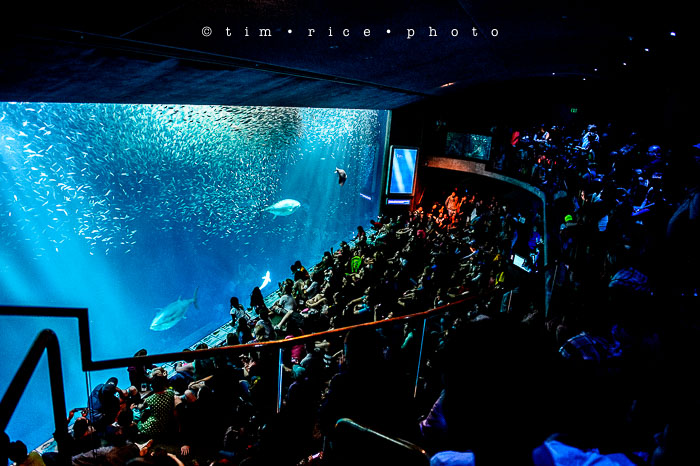 Yr6•343-365•2098•As the Lights Come and Go