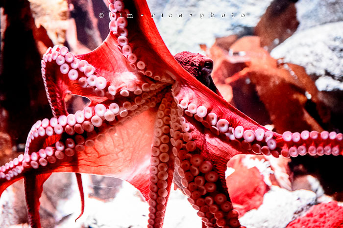 Yr6•348-365•2098•As the Lights Come and Go