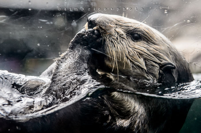 Yr6•351-365•2098•As the Lights Come and Go