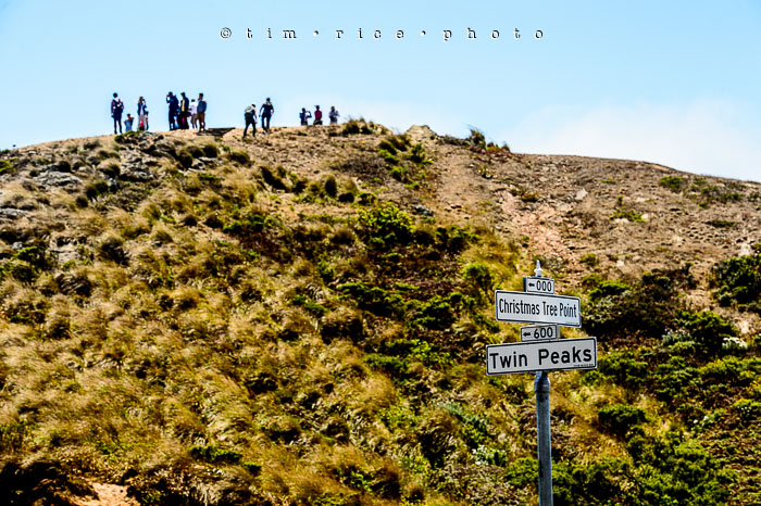 Yr6•376-365•2098•As the Lights Come and Go