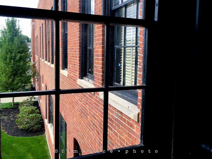 Yr6•311-365•2136•Light From Window