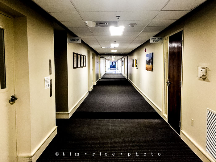 Yr6•313-365•2136•Light From Window