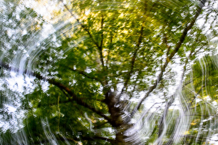 Yr6•313/365•2139 Vertigo August 9, 2015