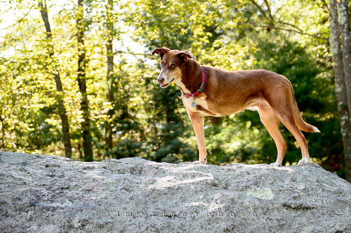 Yr6•316-365•2140•Family