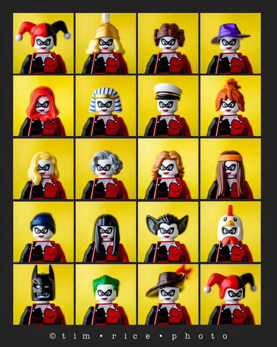 Yr6•323/365•2149• The Stlyings of one Harley Quinn August 19, 2015