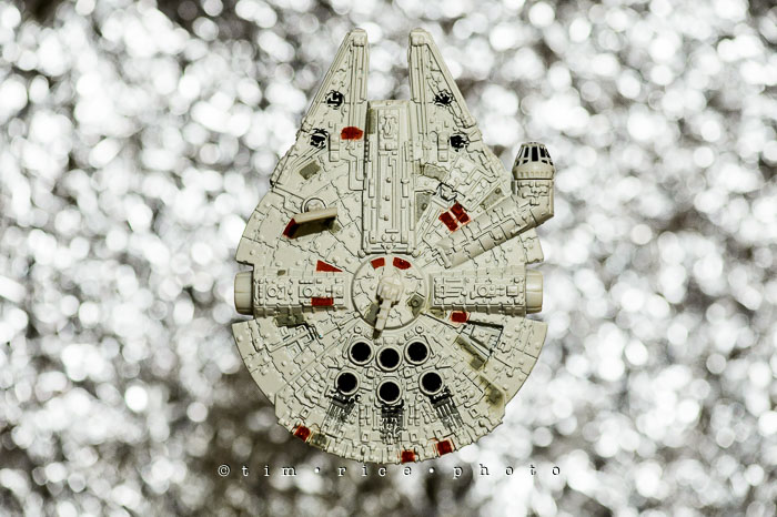 Yr6•345/365•2171 The Falcon September 9, 2015