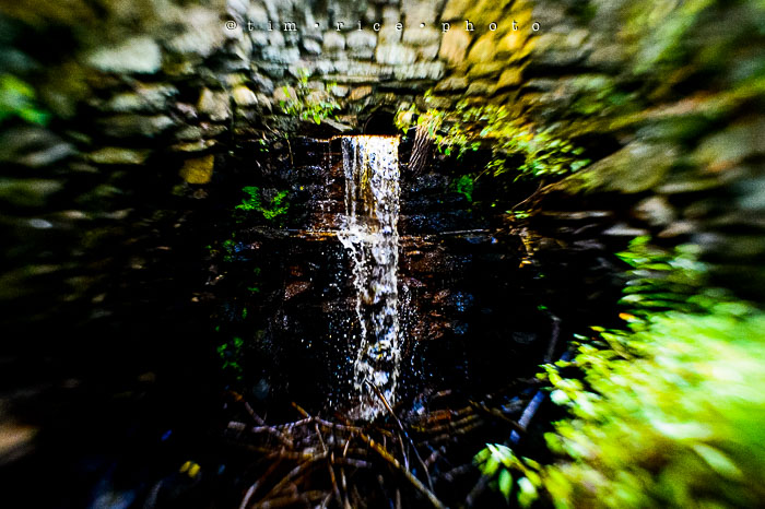 Yr6•351-365•2166•Brady One-Bulb