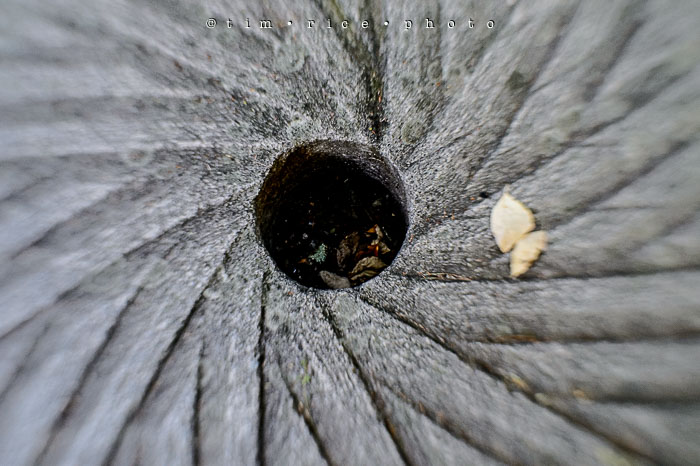 Yr6•352-365•2166•Brady One-Bulb