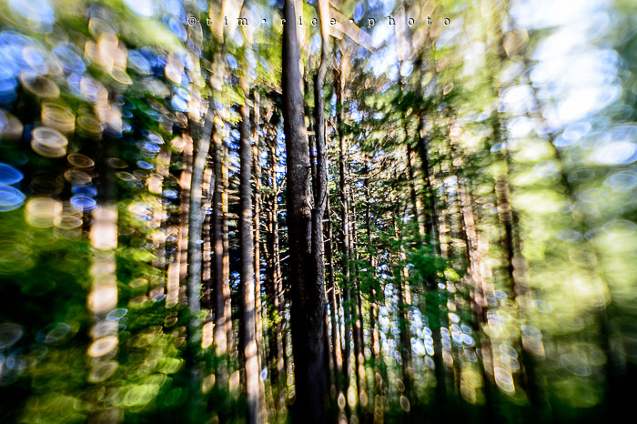 Yr6•357-365•2166•Brady One-Bulb