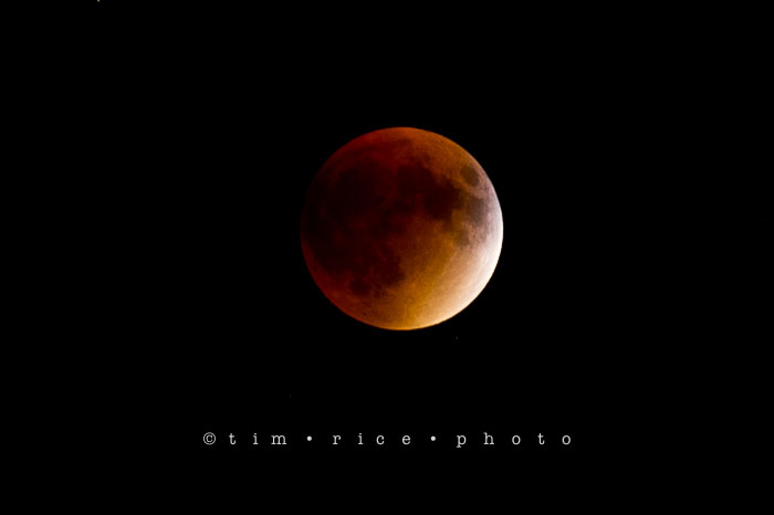 Yr6•373-365•2189•The Blood Moon Eclipse