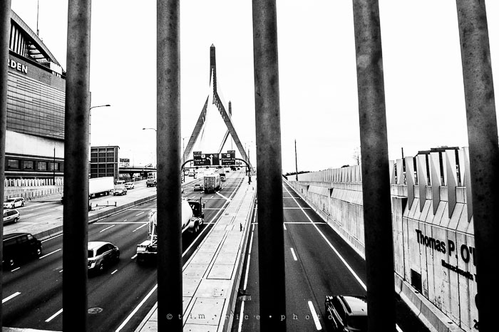 Yr7•002-365•2192•Crossed Path