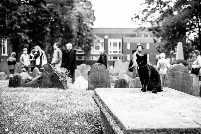 Yr7•012-365•2192•Crossed Path