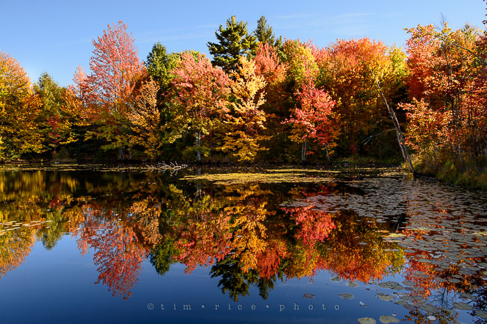 Yr7•012/365•2203 New England Fall Day October 12, 2015