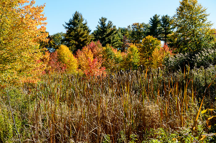 Yr7•012-365•2203•New England Fall