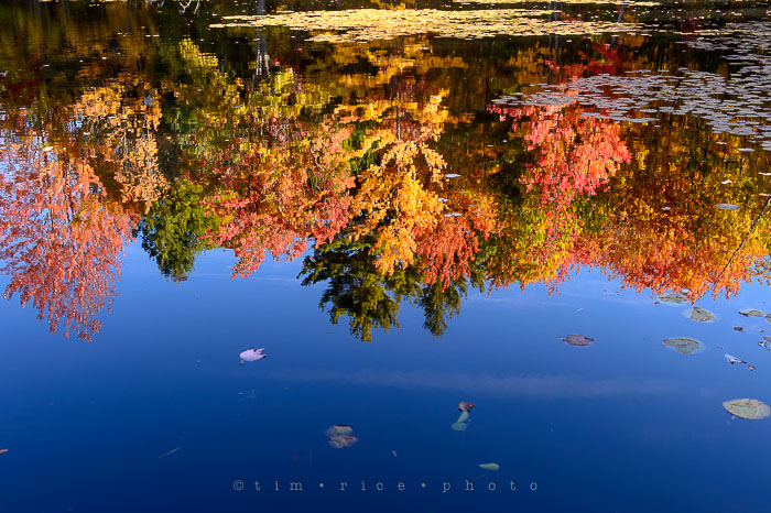 Yr7•013-365•2203•New England Fall